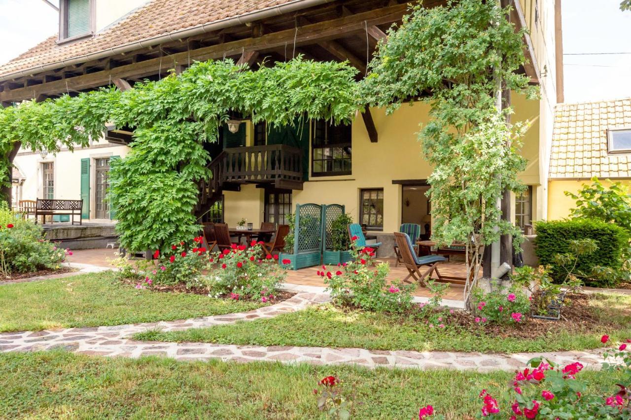 Rose - Piscine Partagee - Proche Europa Park Apartment Hessenheim Екстериор снимка